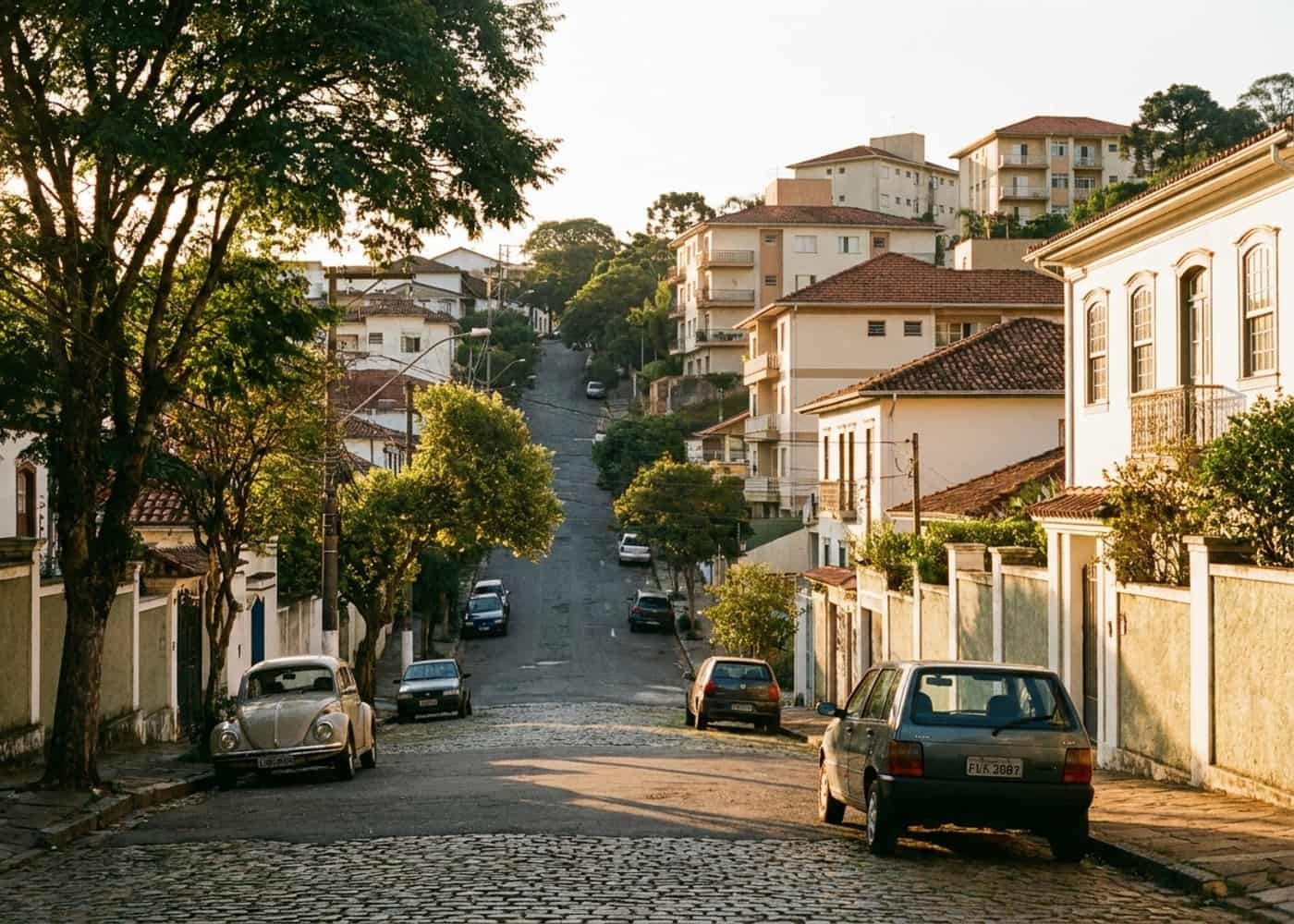 Rua arborizada do bairro São Mateus com casas e prédios baixos ao fim da tarde